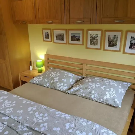Vila Lena S Bazenem Velké Losiny