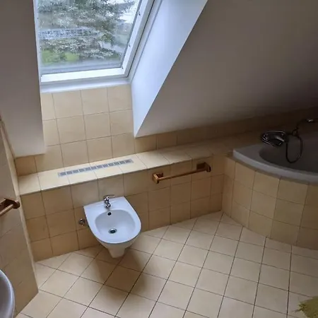Vila Lena S Bazenem Velké Losiny